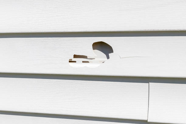Best Steel Siding Installation  in Chatmoss, VA
