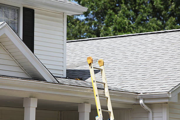 Reliable Chatmoss, VA Siding Installation & Repair Solutions
